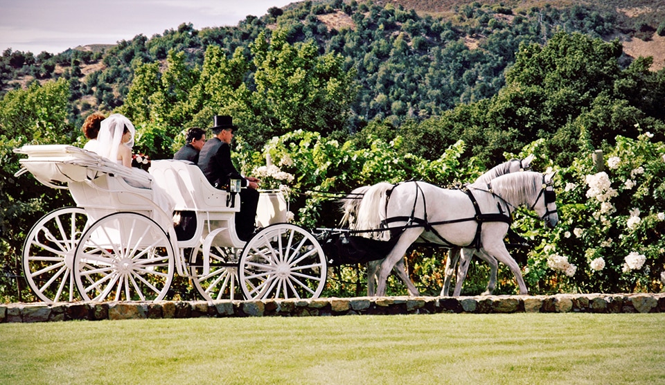 Winery wedding photographer